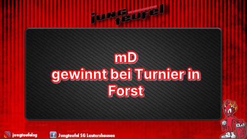 D-Jugend gewinnt Turnier in Forst